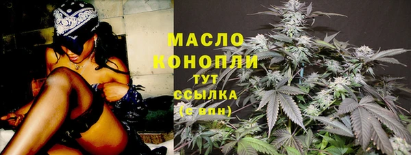 индика Абдулино