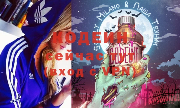 индика Коряжма