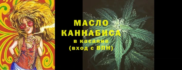 индика Абдулино