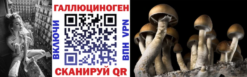 Галлюциногенные грибы Magic Shrooms  где купить наркоту  Заволжье 