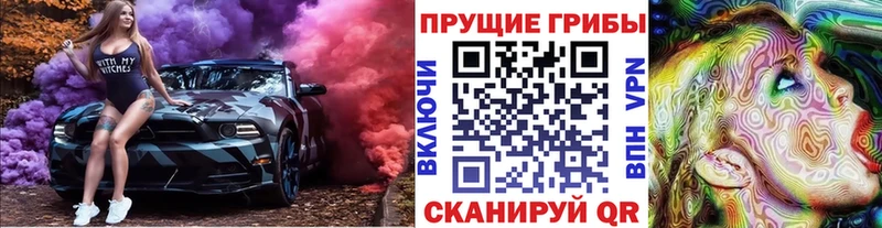 Галлюциногенные грибы Cubensis Заволжье